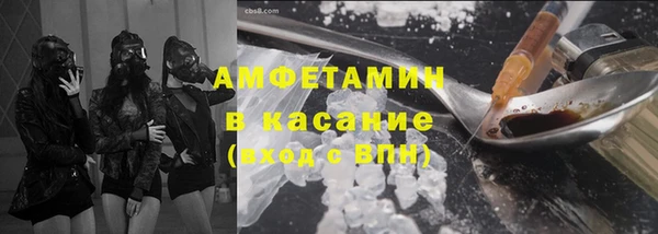 крисы Баксан